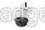 Dome IP Camera with zoom