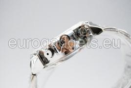 Camera with motion detector (with chain)